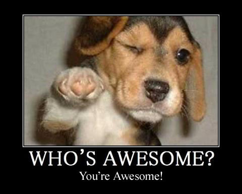 Who Is AWESOME