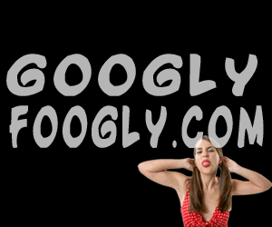 Funny Videos at GooglyFoogly.com