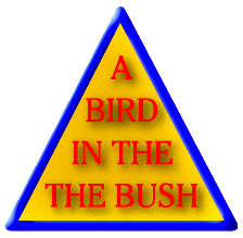 Bird in the Bush