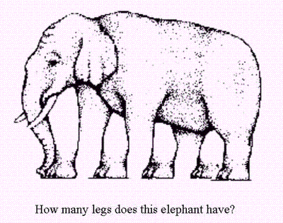 Elephant Illusions