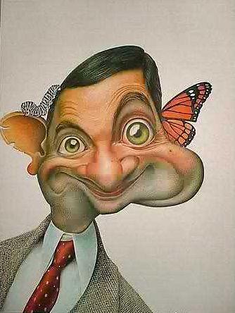 I am Mr Bean butterflies also like me